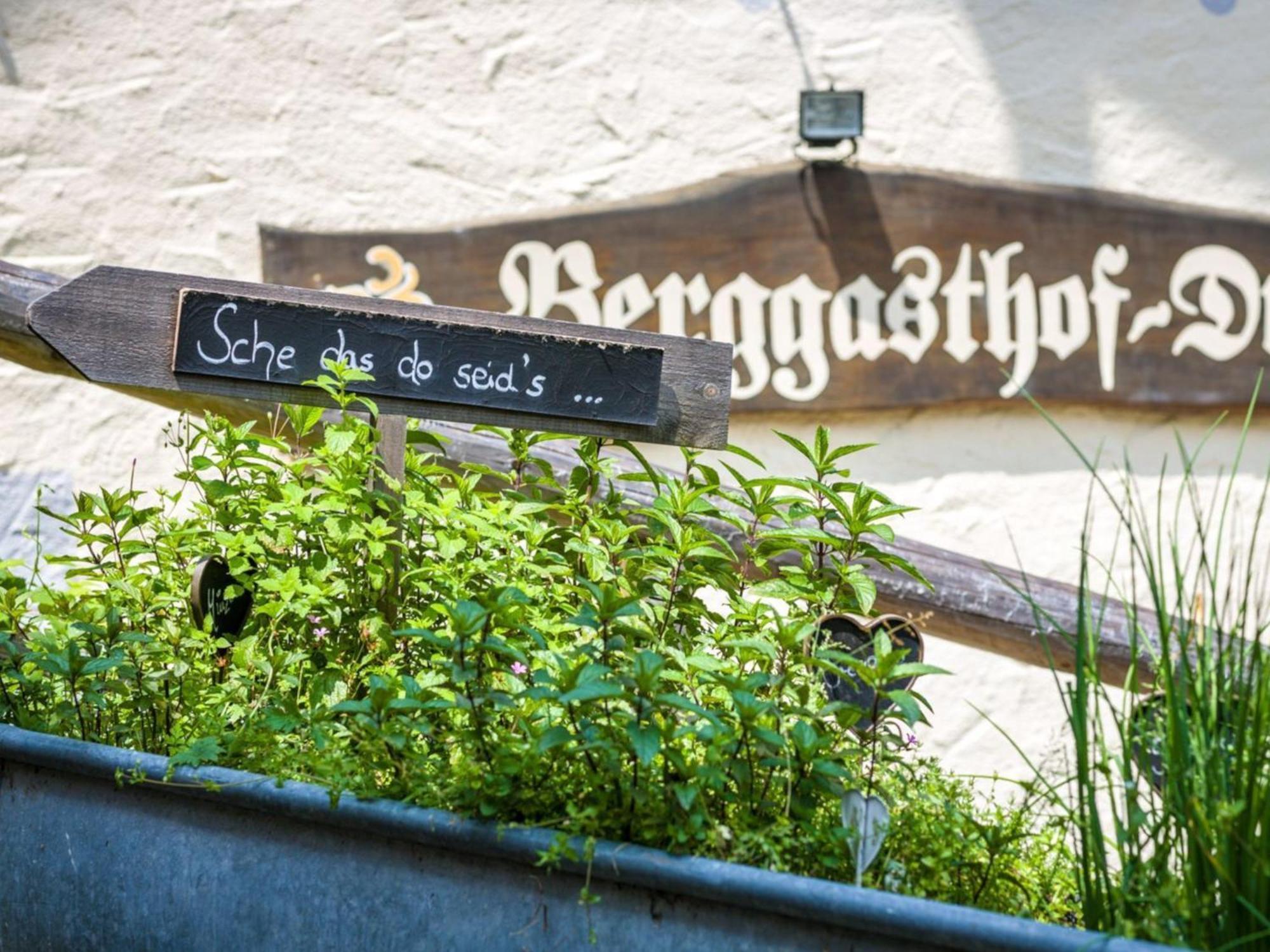 Berggasthof Hotel Duftbraeu I Ruhige Alleinlage I Mitten Im Gruenen Samerberg Ngoại thất bức ảnh